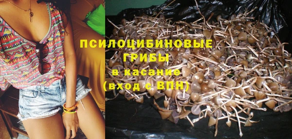 тгк Магадан