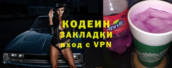 шишки Мегион
