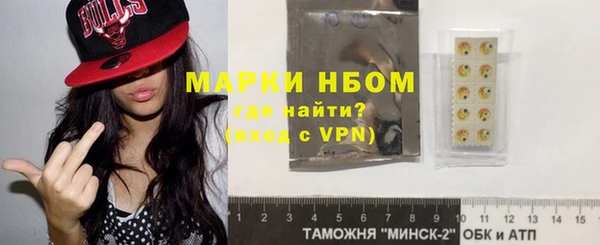 шишки Мегион
