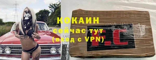 гашик Шадринск