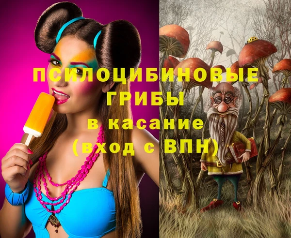 шишки Мегион