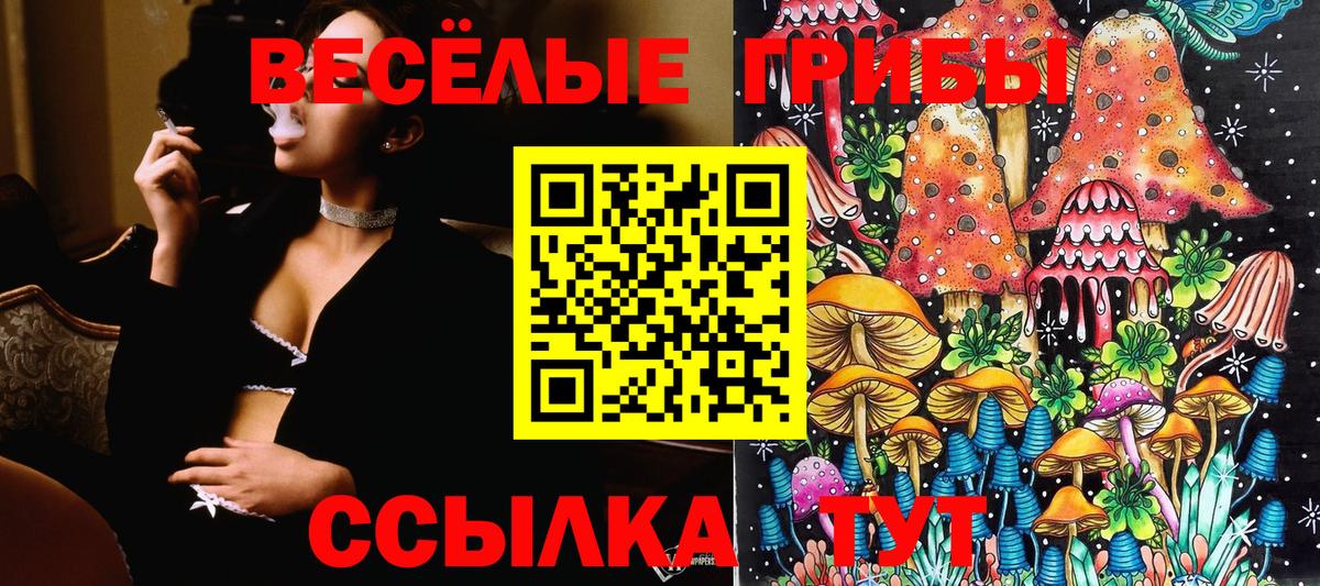 Псилоцибиновые грибы Magic Shrooms  Усинск 