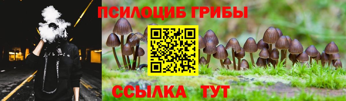 Усинск  Псилоцибиновые грибы GOLDEN TEACHER  Вход с VPN 
