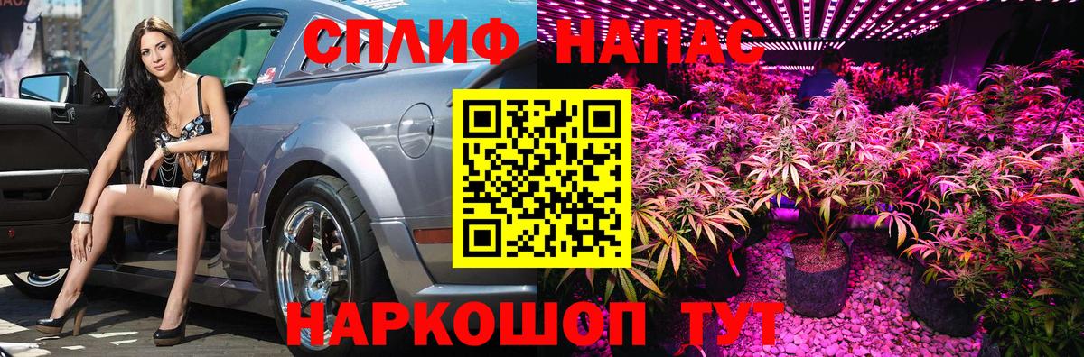 Бошки марихуана конопля Усинск